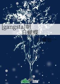 [gangsta]朝日蝴蝶