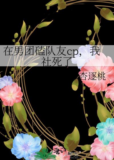 在男团磕队友cp，我社死了